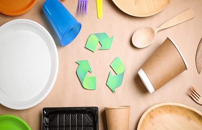 Tips To Order Eco-Friendly Takeaway Containers